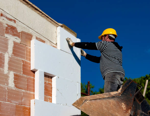 Best Commercial Insulation in Trion, GA