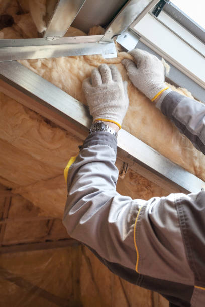 Best Insulation Installation Services in Trion, GA