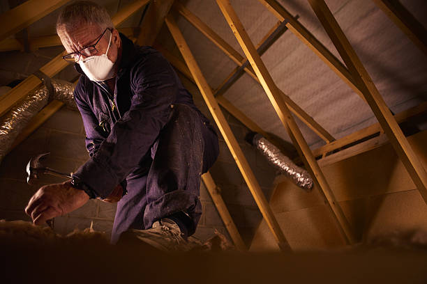 Best Insulation for Specific Applications in Trion, GA